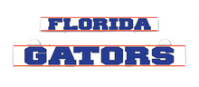 Load image into Gallery viewer, Florida-Gators-LumiSign-Inserts
