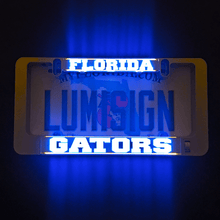 Load image into Gallery viewer, LumiSign-Florida-Gators-Main-Night-Picture
