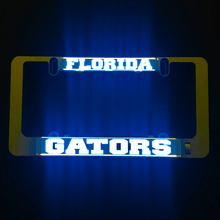 Load image into Gallery viewer, LumiSign-Florida-Gators-Main-Night-Swatch
